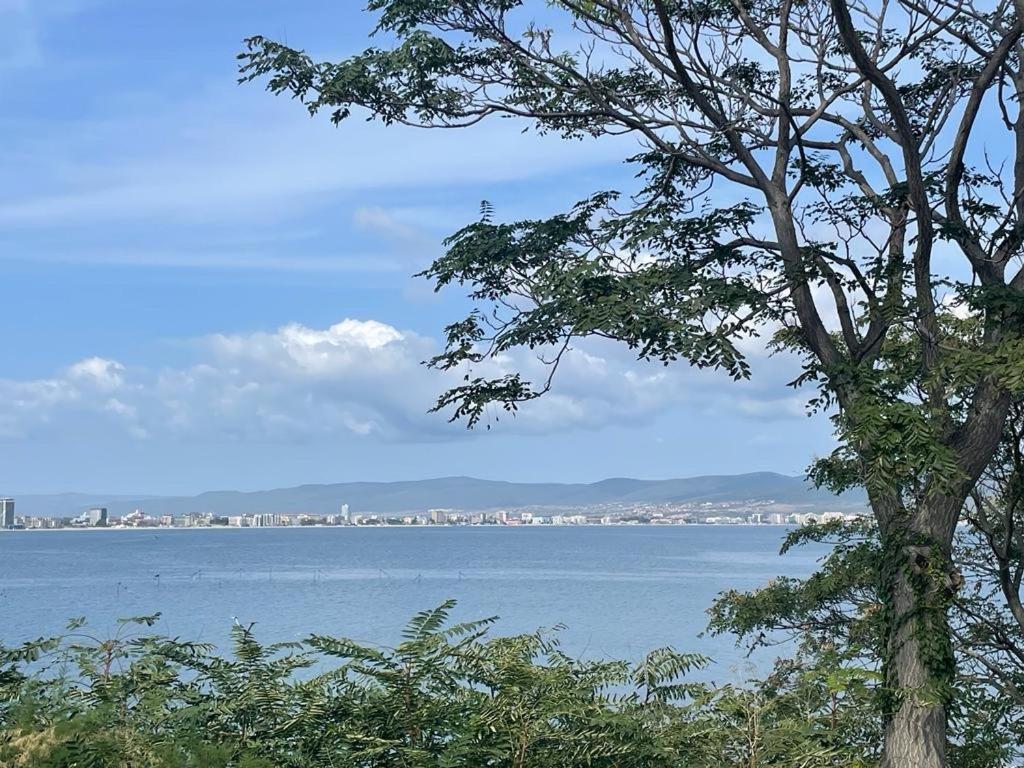 Apartment Sunny Beach Plaza 100 M Sea Екстериор снимка